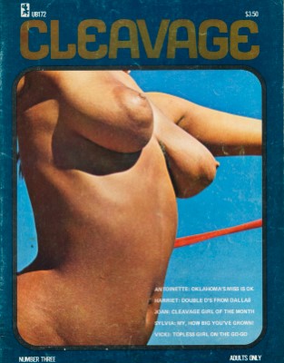 Cleavage - No 03 (1973)
