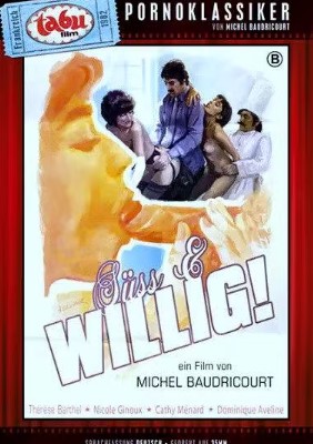 Süss & Willig (1981)